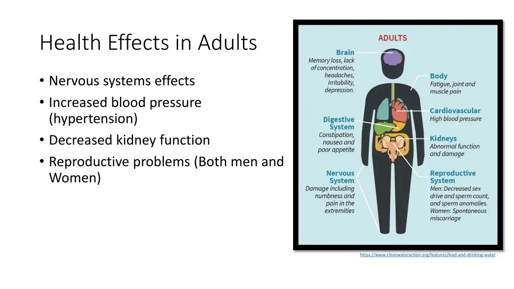 health effects in adults