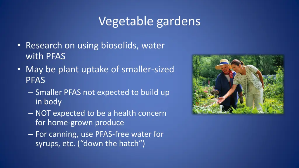 vegetable gardens