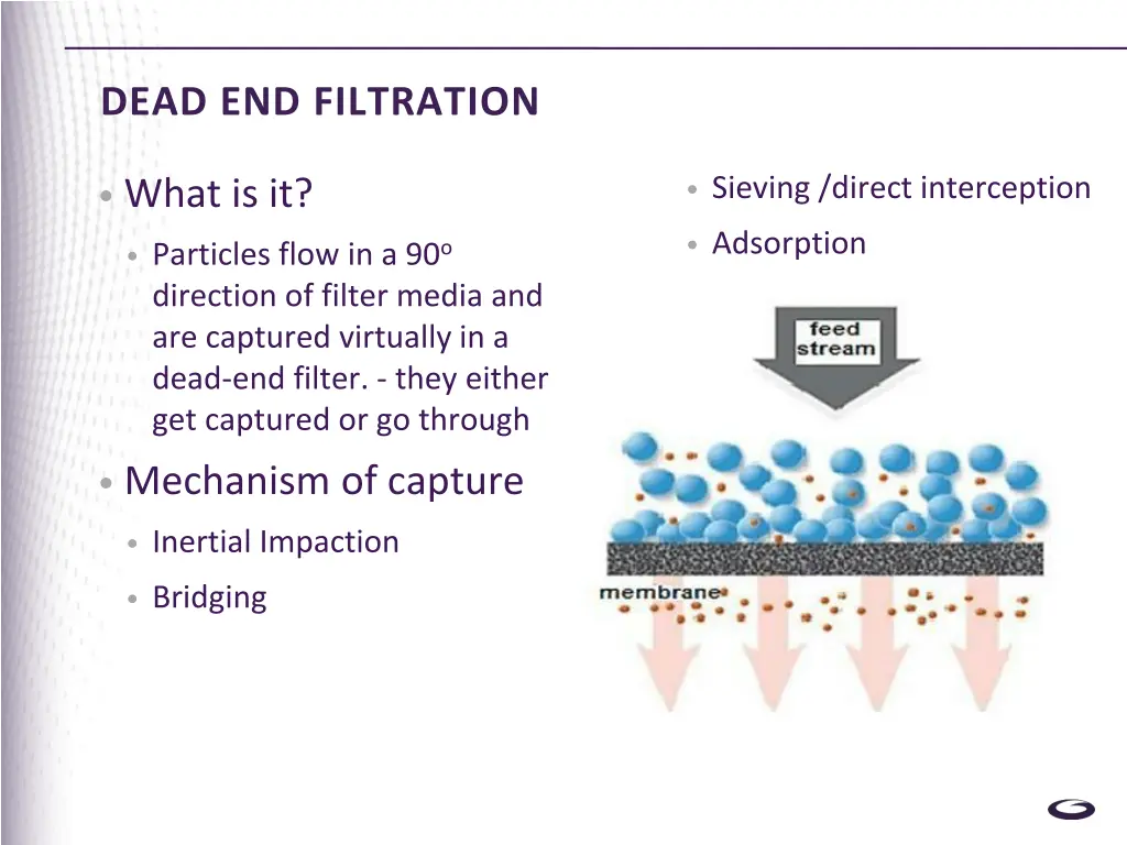 dead end filtration