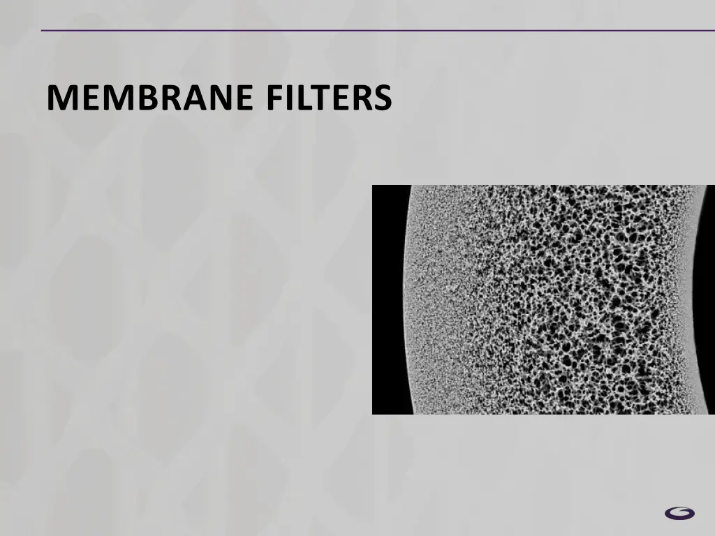 membrane filters