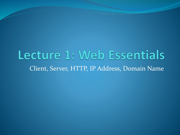 client server http ip address domain name