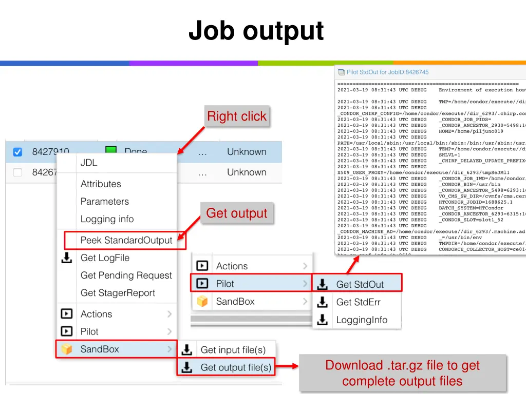 job output