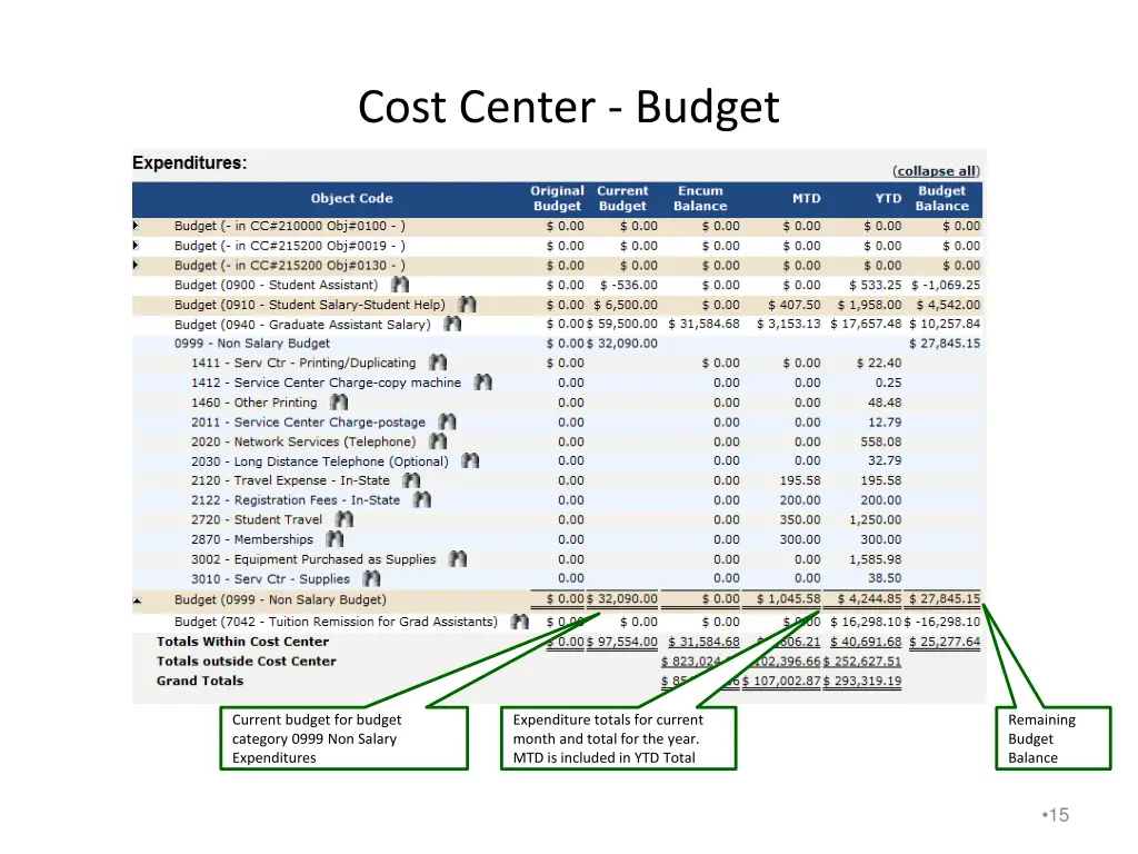 cost center budget