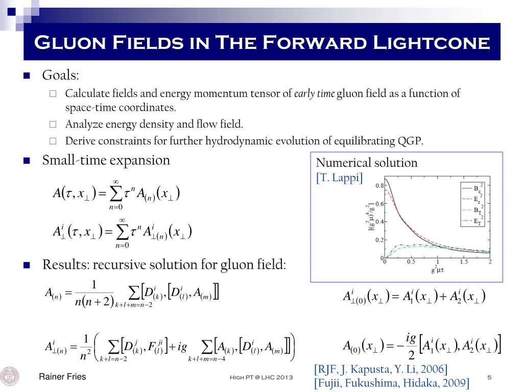 gluon fields in the forward lightcone