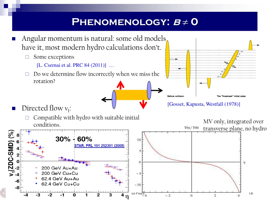 phenomenology b 0 1