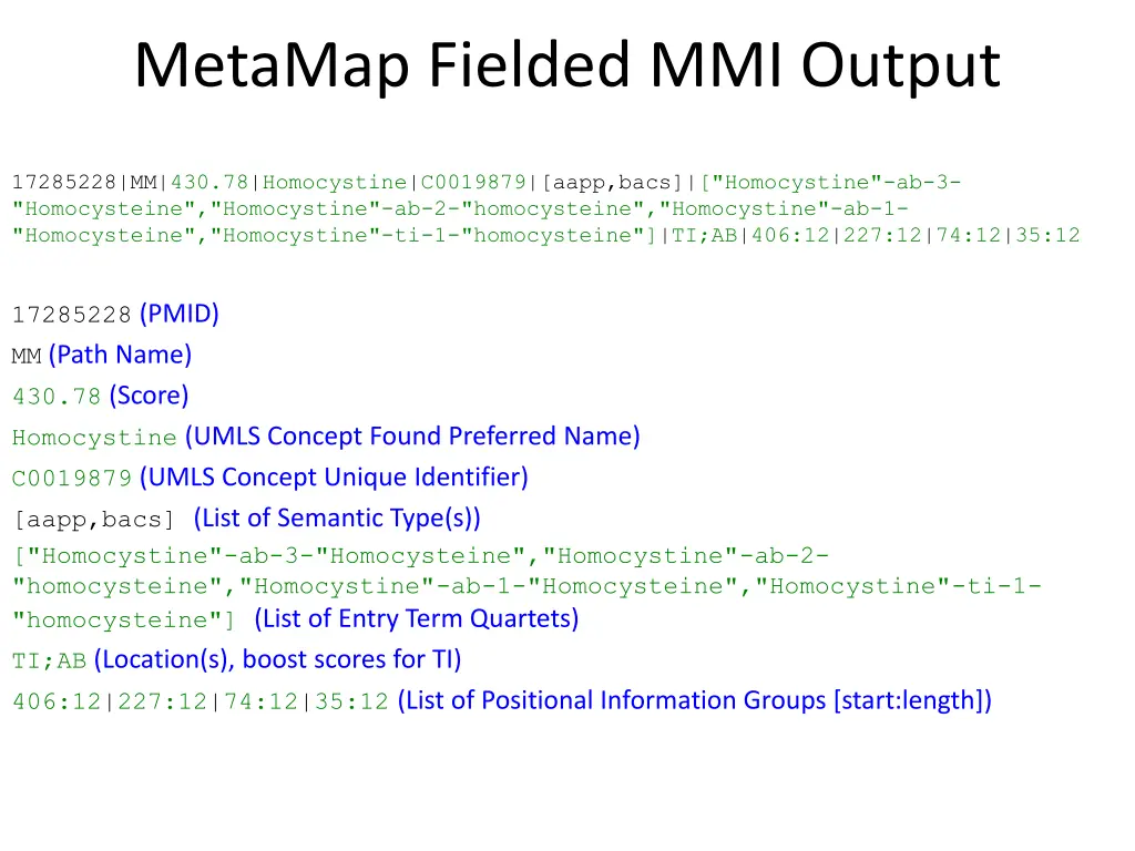 metamap fielded mmi output