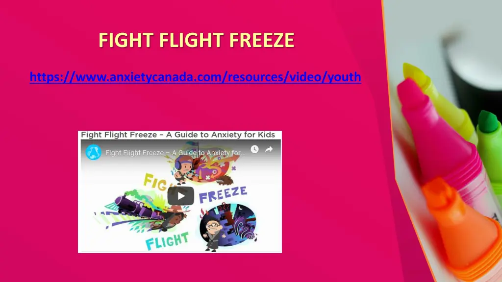 fight flight freeze