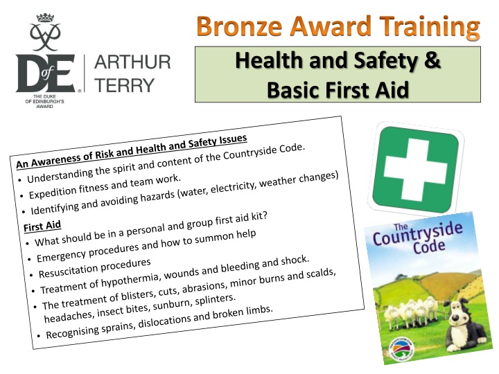 bronze award training