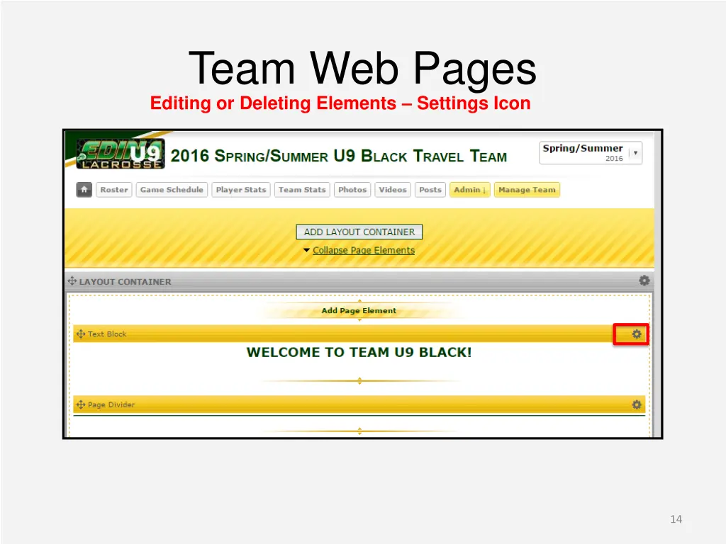 team web pages editing or deleting elements