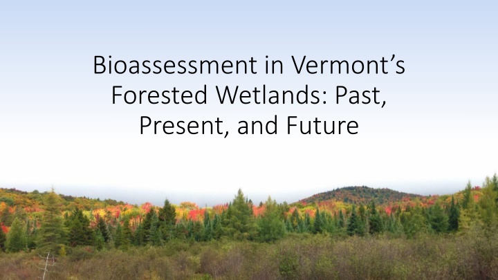 bioassessment in vermont s forested wetlands past