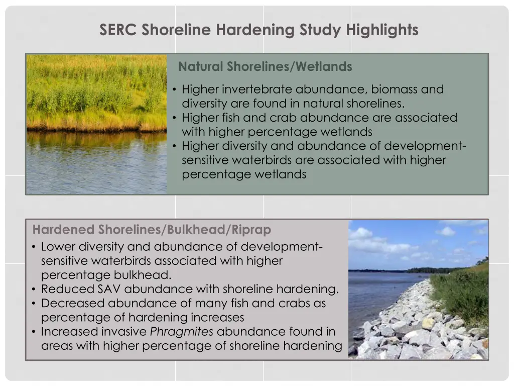 serc shoreline hardening study highlights