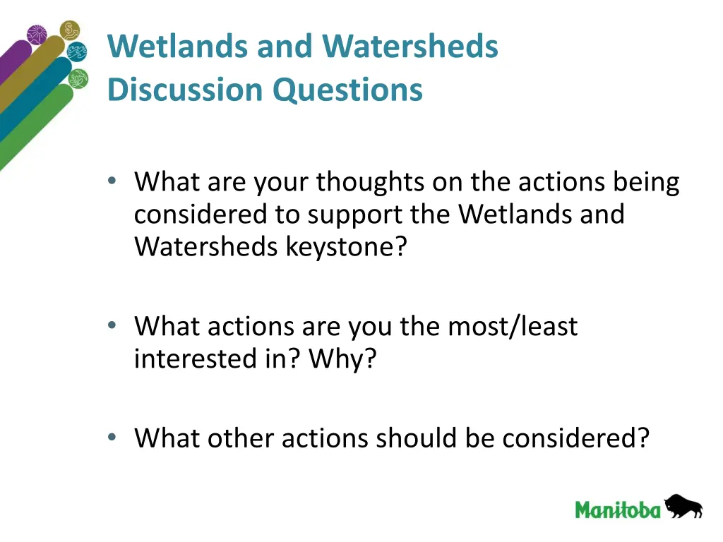 wetlands and watersheds discussion questions