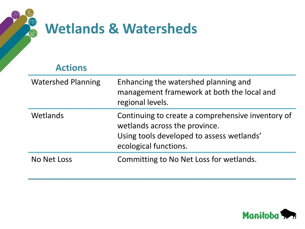 wetlands watersheds