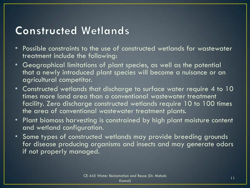 constructed wetlands 1