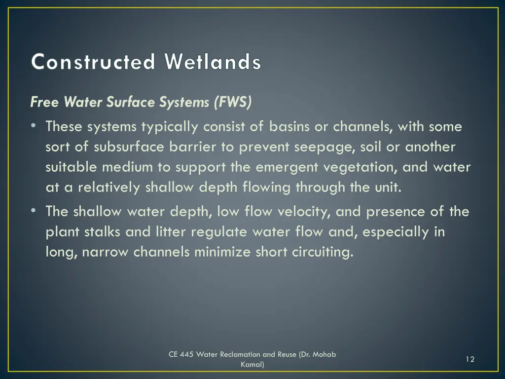 constructed wetlands 2