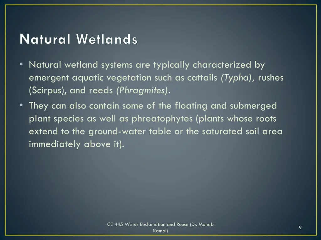 natural wetlands 1