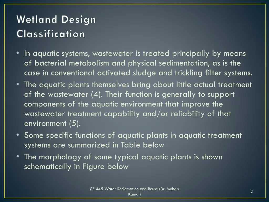 wetland design classification