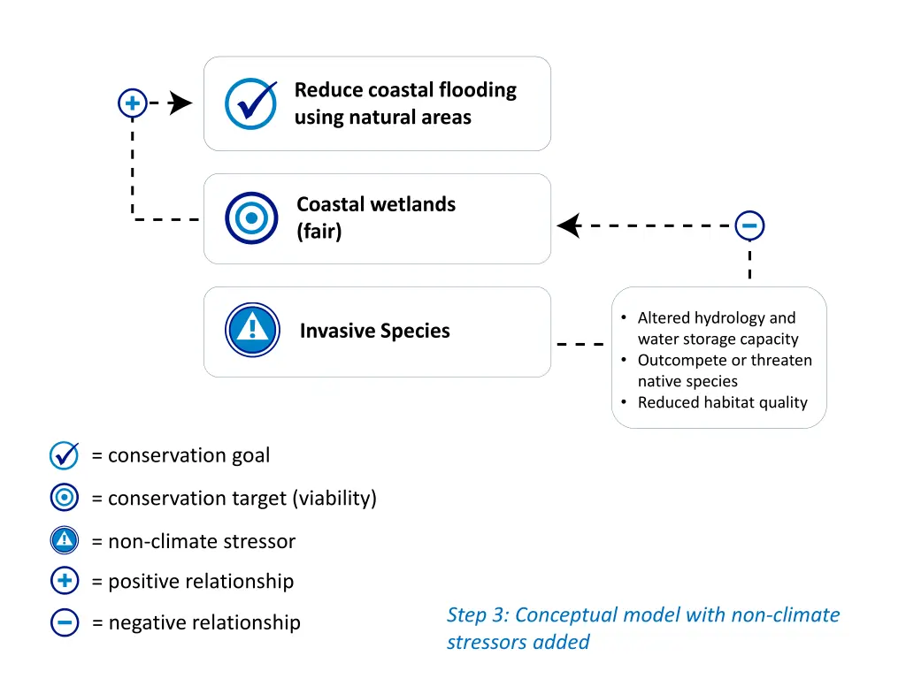 reduce coastal flooding using natural areas 1