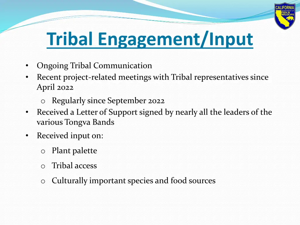 tribal engagement input