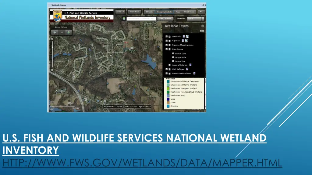 u s fish and wildlife services national wetland