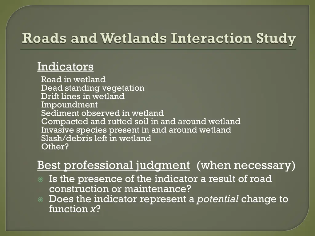 indicators road in wetland dead standing