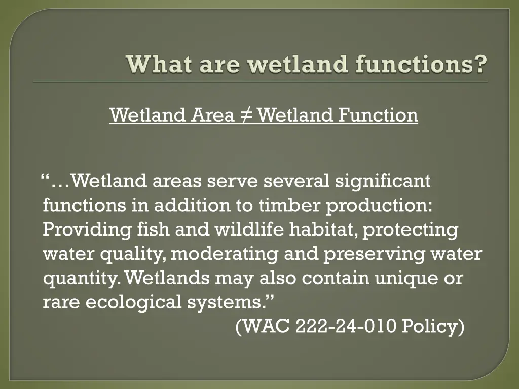 wetland area wetland function