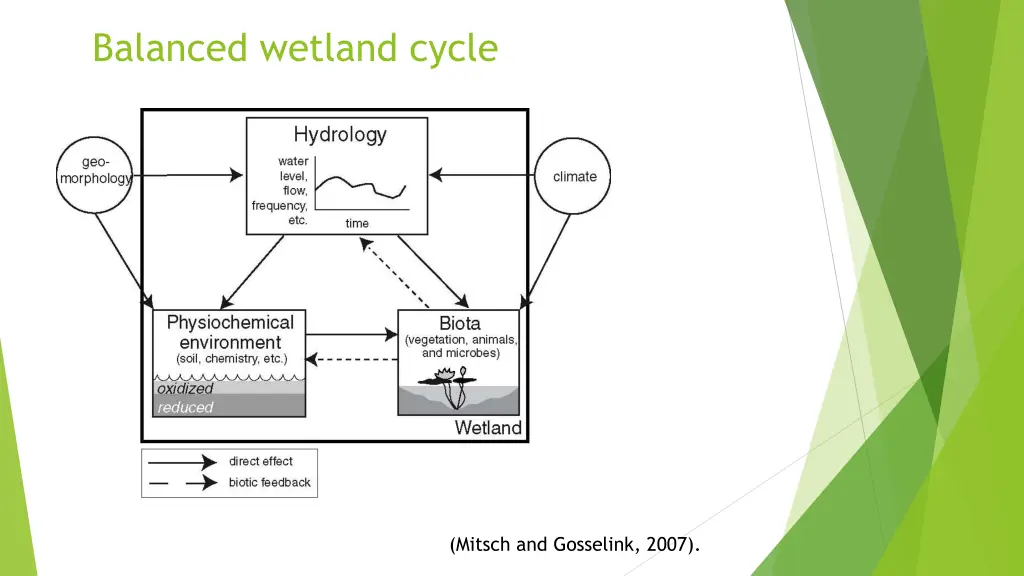 balanced wetland cycle