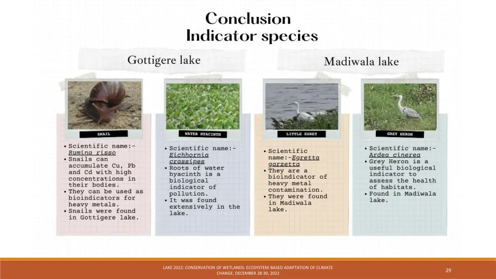 lake 2022 conservation of wetlands ecosystem 14