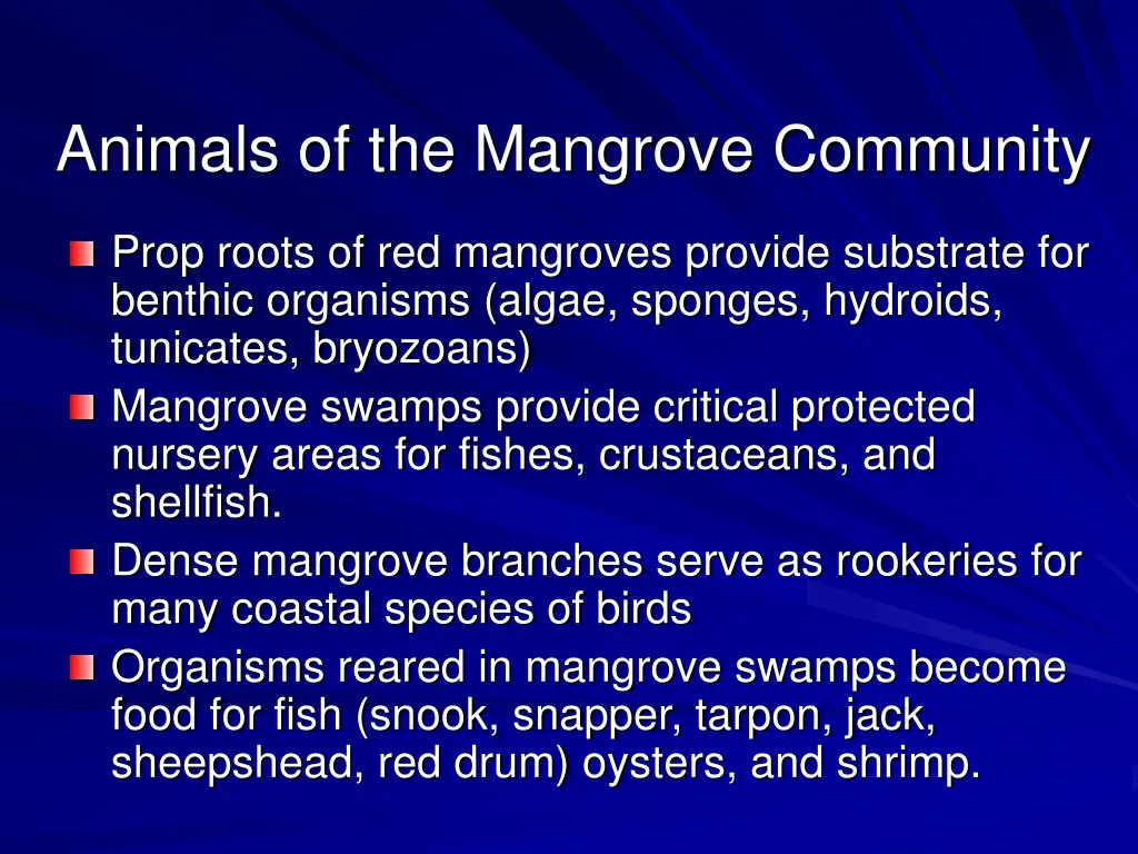 animals of the mangrove community