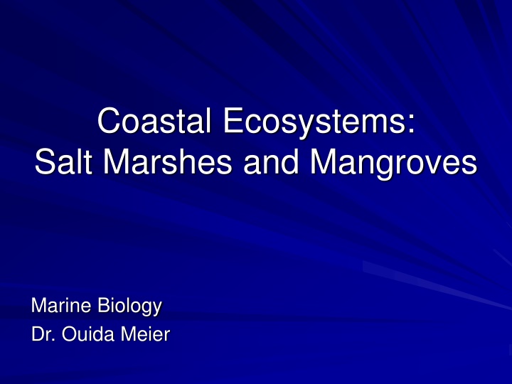 coastal ecosystems salt marshes and mangroves