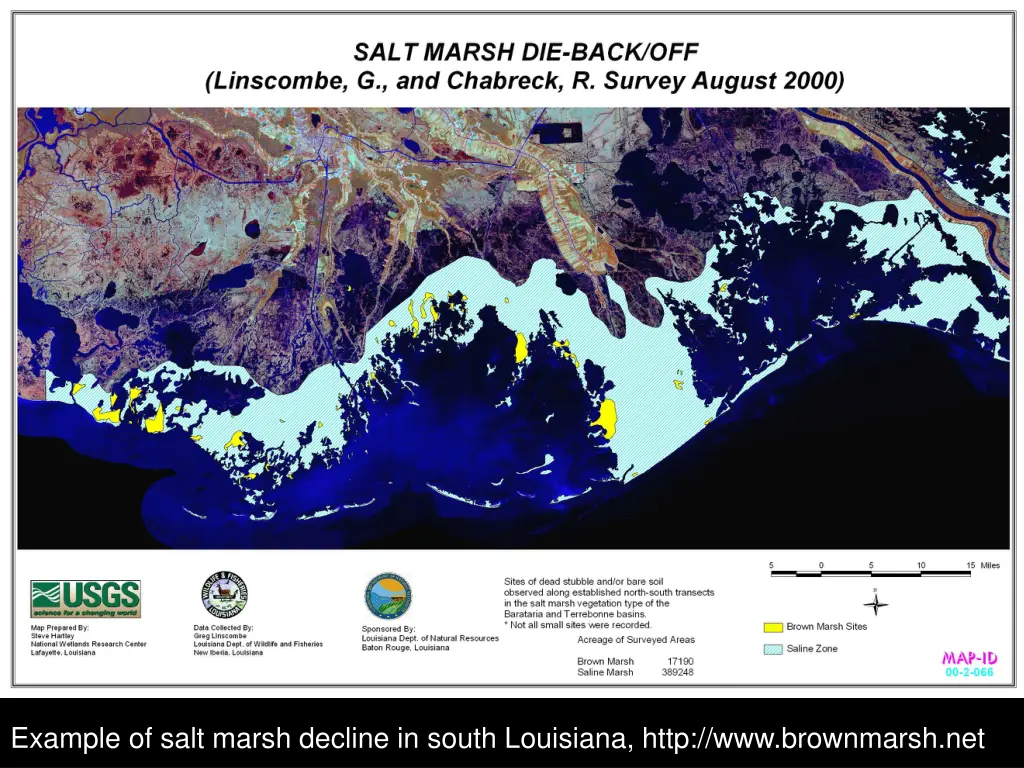 example of salt marsh decline in south louisiana