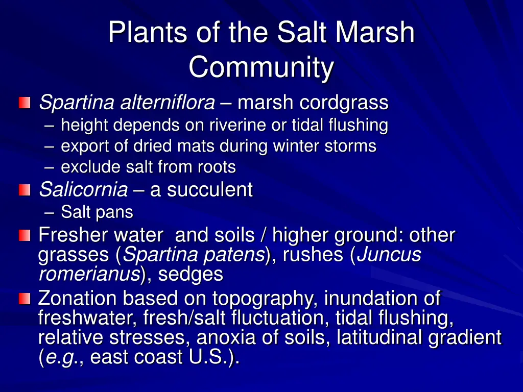 plants of the salt marsh community spartina