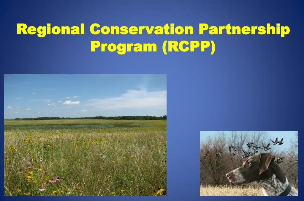 regional conservation partnership regional