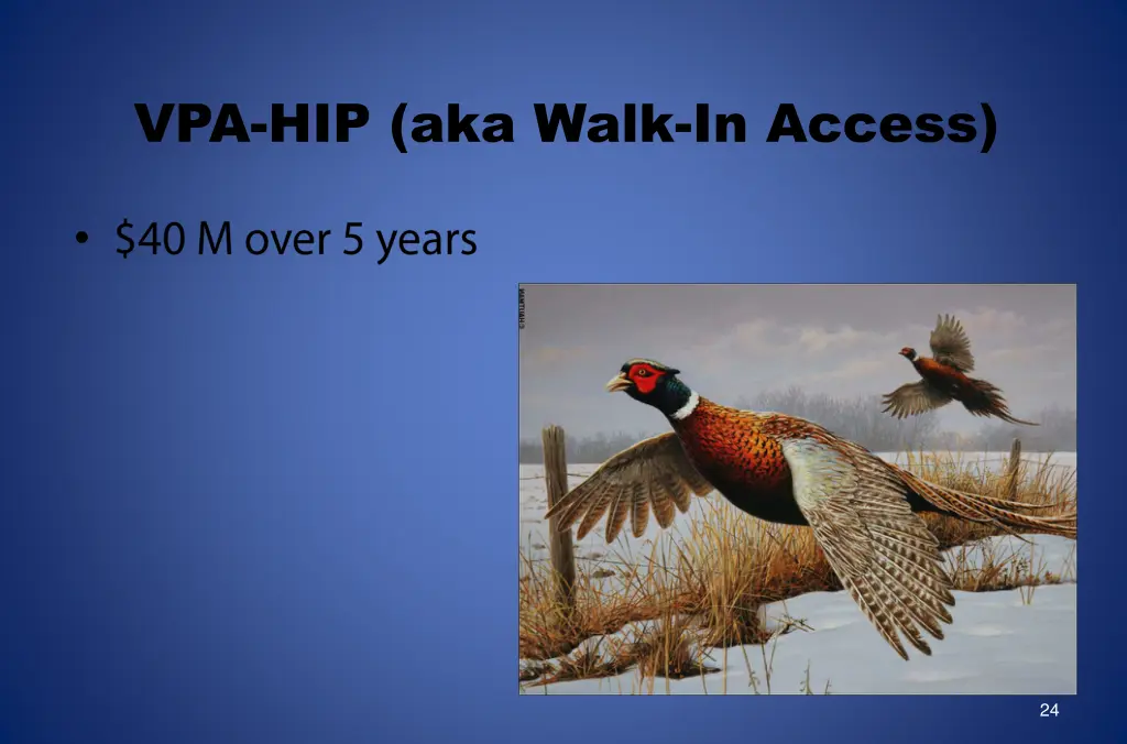 vpa hip aka walk in access