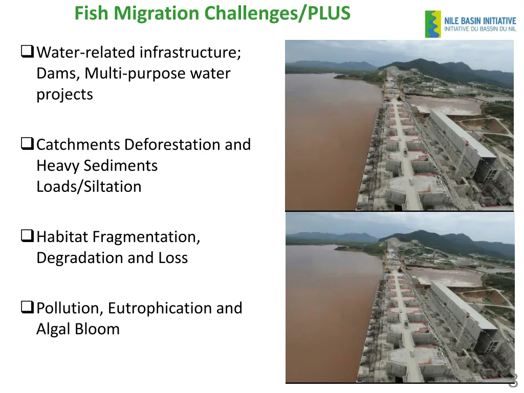 fish migration challenges plus