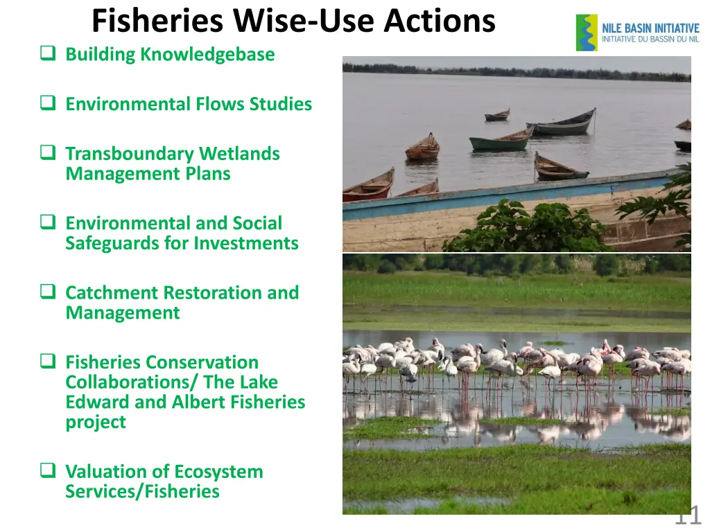 fisheries wise use actions building knowledgebase