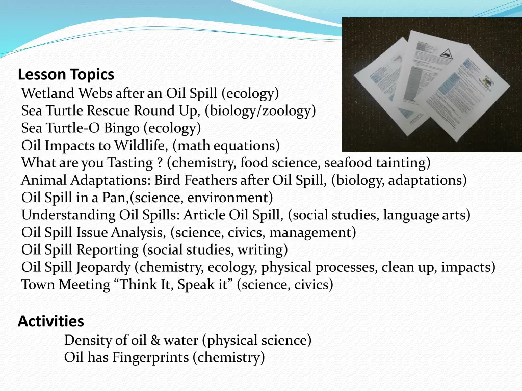 lesson topics wetland webs after an oil spill 1