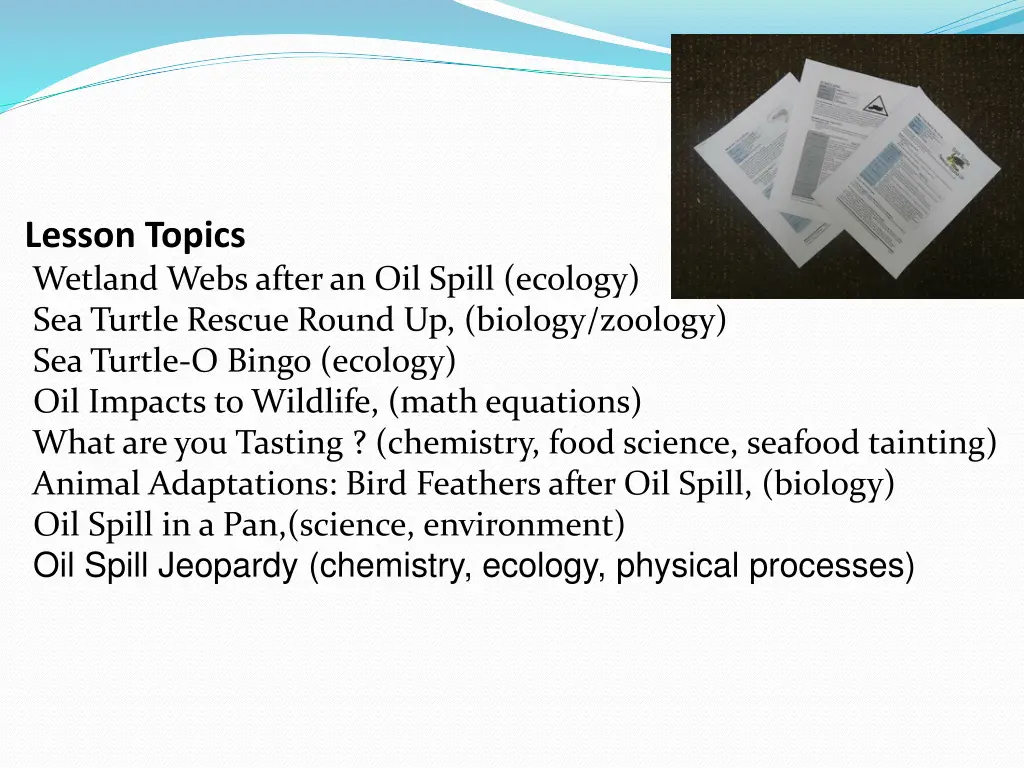 lesson topics wetland webs after an oil spill