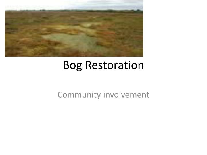 bog restoration