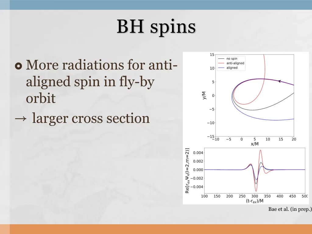 bh spins