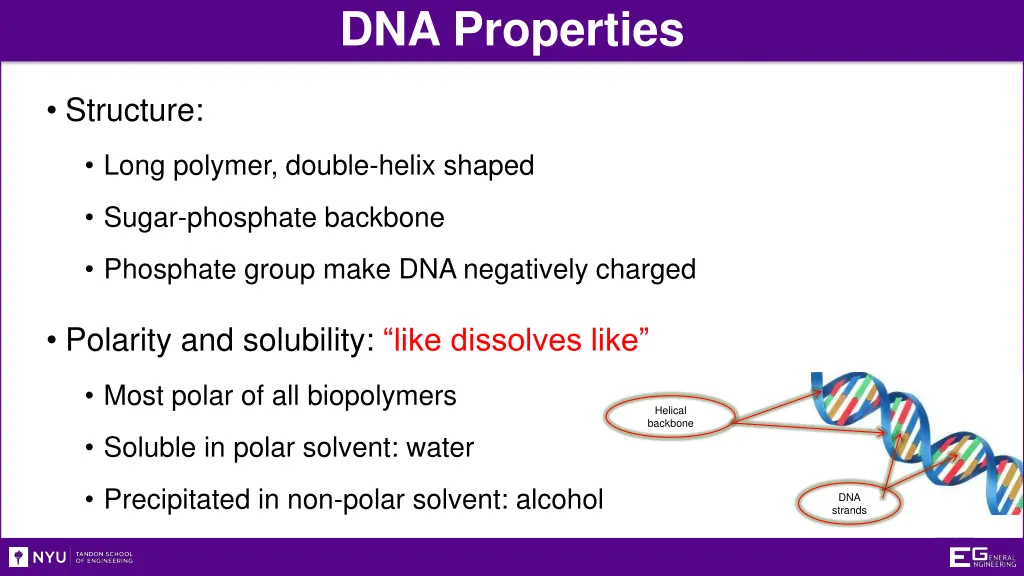 dna properties