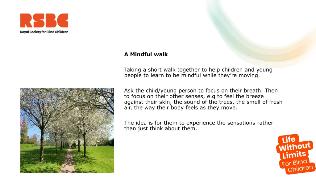 a mindful walk