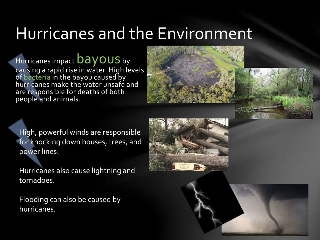 hurricanes and the environment 1