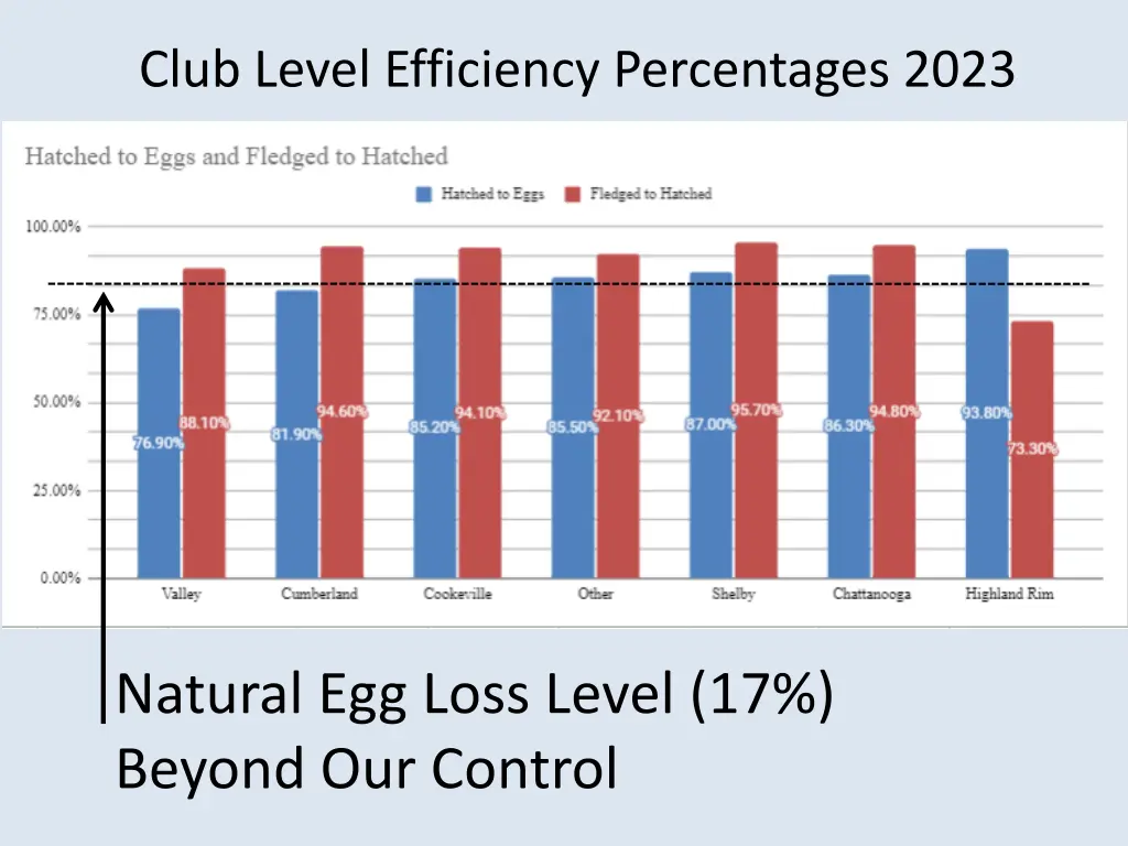 club level efficiency percentages 2023