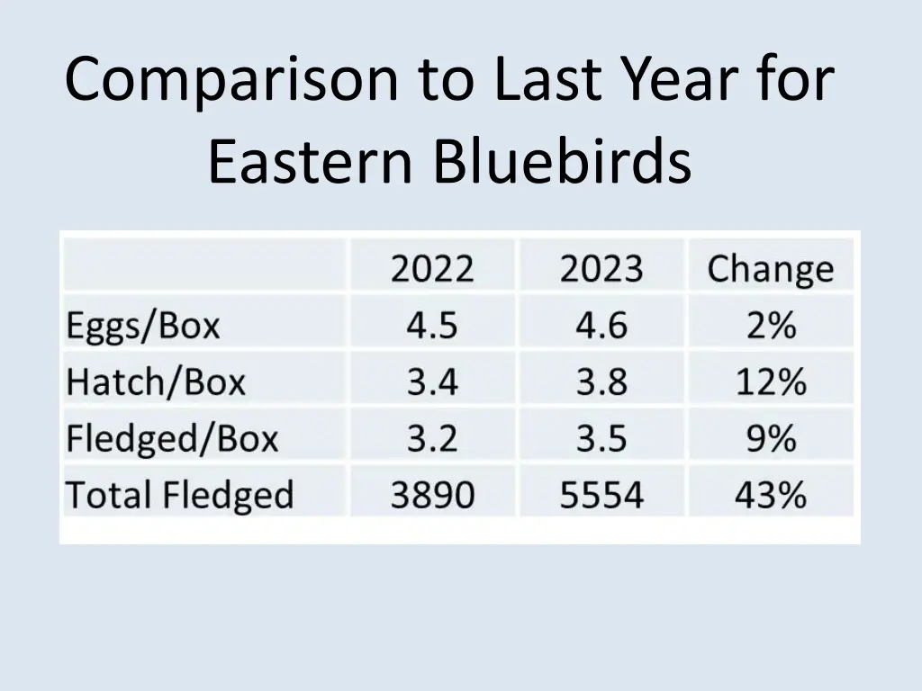 comparison to last year for eastern bluebirds