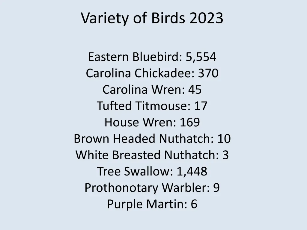 variety of birds 2023