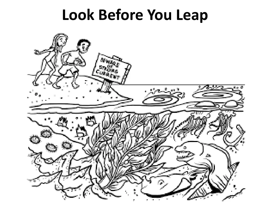 look before you leap