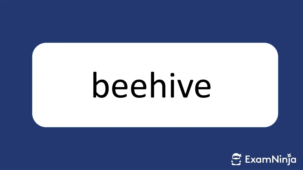 beehive