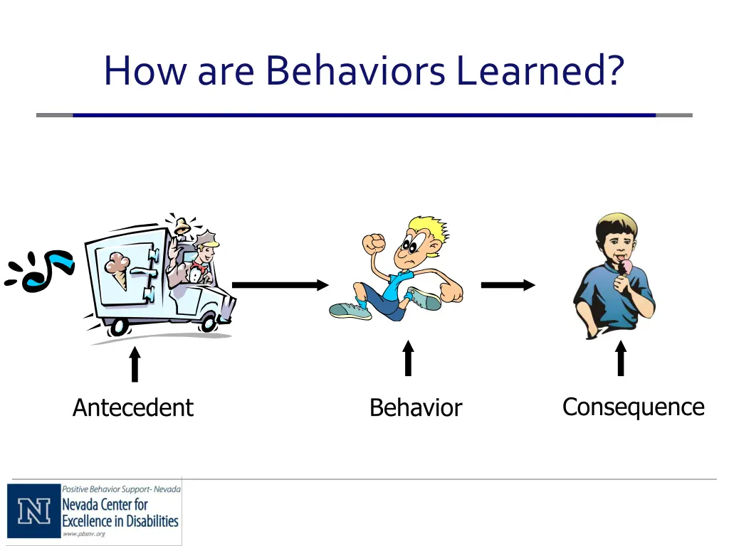 how are behaviors learned