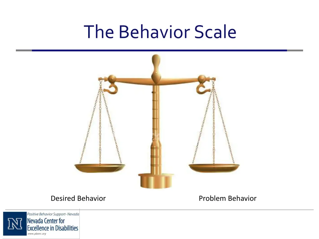 the behavior scale